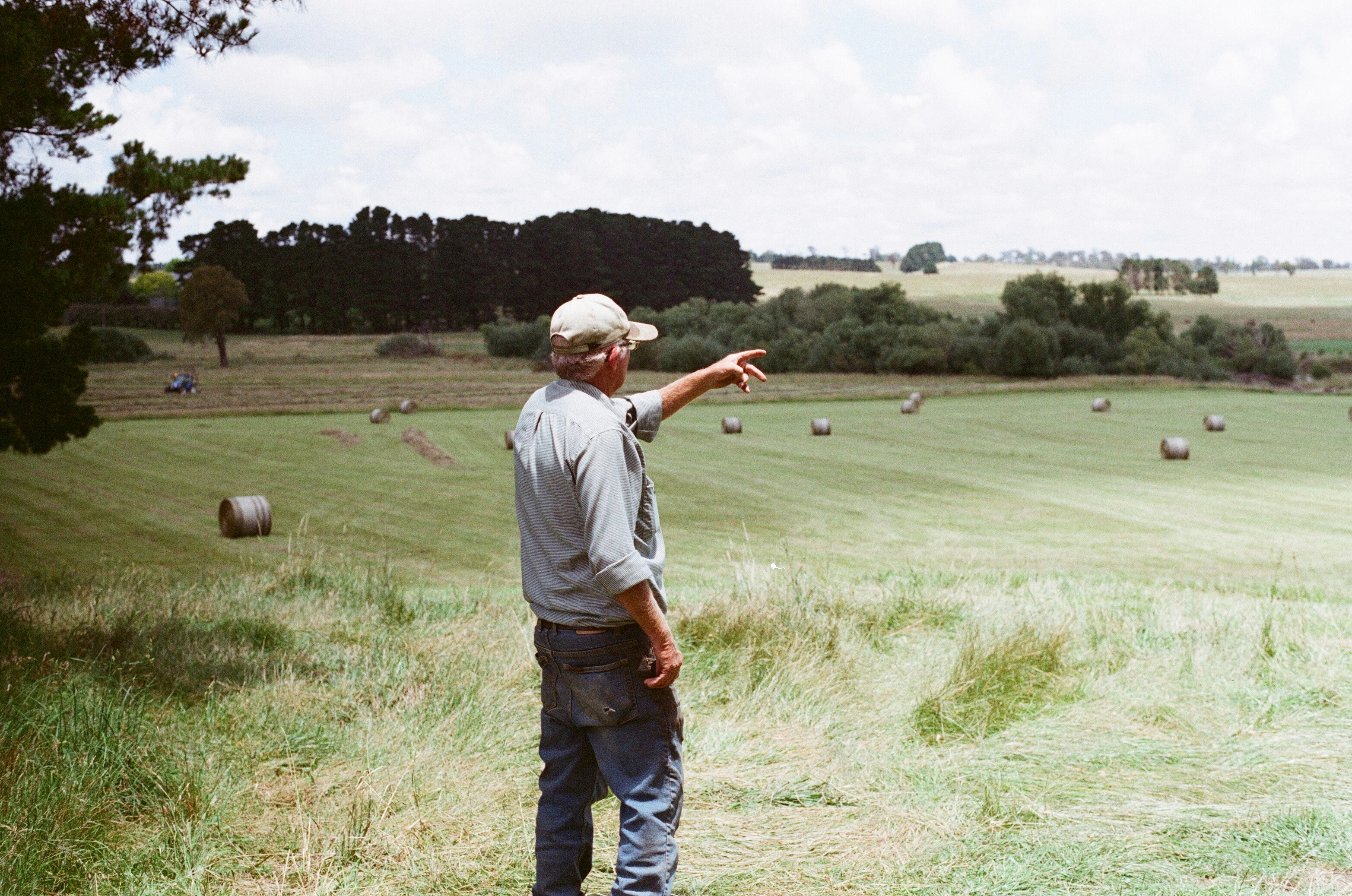 A farmer seen from behind, pointing across a hay field dotted with round bales.