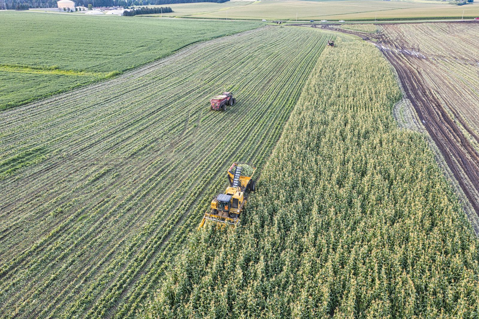 Aerial view of tractors harvesting corn in a rural Minnesota field.