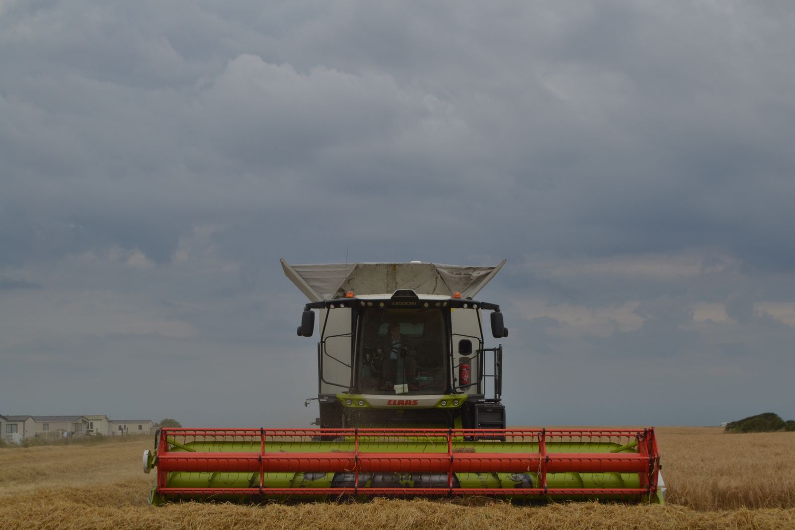 Combine harvester in wheat field