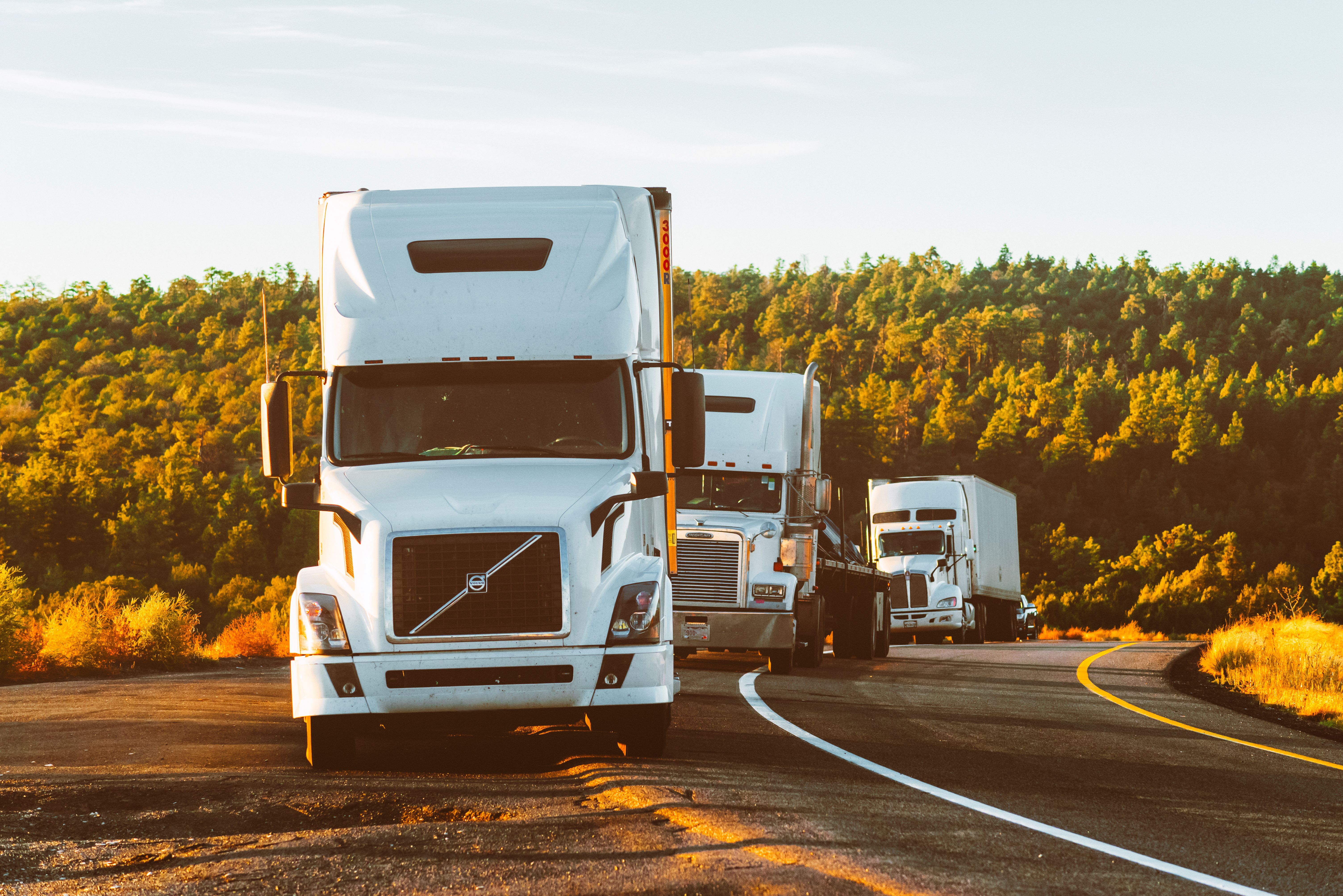 Three semi trucks traveling on a highway through an Arizona forest.